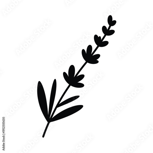 A simple black silhouette of a lavender sprig with delicate leaves