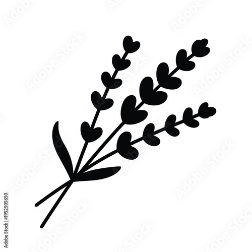 Simple black and white illustration of a lavender sprig with leaves