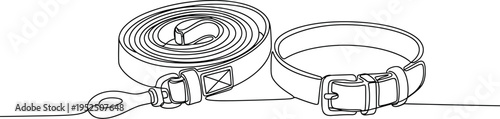 Leather belt and rolled belt illustration