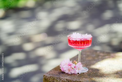 Glass of pink cocktail and blooming pink Japanese sakura on sunny day. Spring.