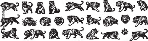 Majestic Tiger Silhouettes and Bengal Tiger Vector Illustrations.