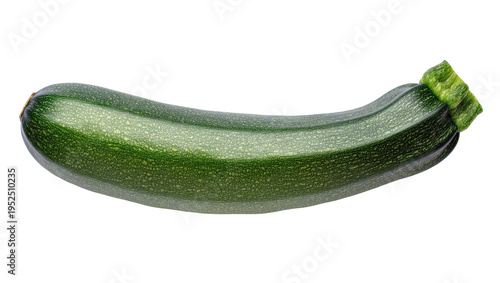 Isolated fresh green zucchini vegetable with delicate stripes and textured skin for healthy cooking