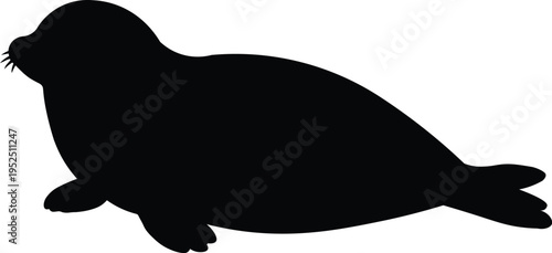 Stylized black silhouette of a common marine mammal seal, showcasing its iconic form and gentle features.