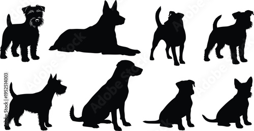Dog silhouettes collection, various breeds standing and sitting poses, black canine shapes isolated on white background, domestic animals set, pet design elements