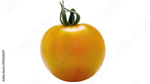 Isolated fresh ripe yellow tomato with green stem and sepals, healthy organic vegetable food