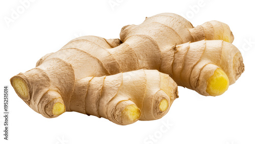 Photos Isolated fresh organic ginger root culinary spice healthy food ingredient natura