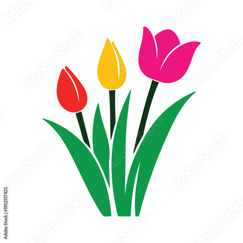 Colorful spring tulips flower vector illustration on white background