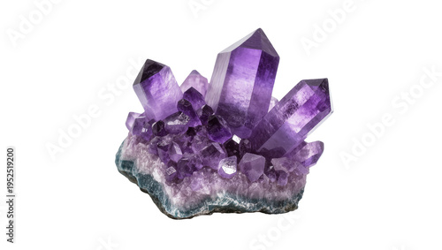 Tableau sur toile Isolated beautiful natural raw amethyst crystal geode cluster with deep purple c