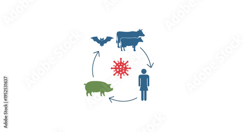 Zoonotic Disease Transmission Cycle Diagram with Bat, Cow, Pig, and Human Icons isolated PNG with Transparent Background