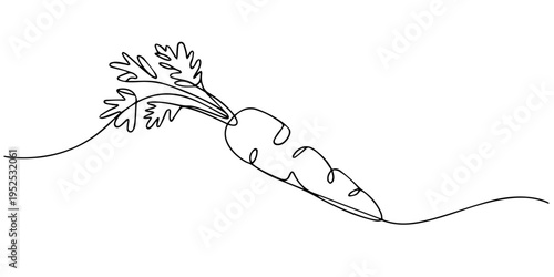 carrot continuous one line drawing, Twin Leaf Carrot Continuous One Line Drawing Minimalist Garden Vegetable Outline Linear Vector, Continuous one line drawing of carrot vegetable. One line drawing