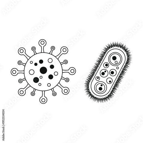 Two microscopic organisms illustrated in black and white featuring a spherical virus with spikes and a rod shaped bacterium with hair like projections
