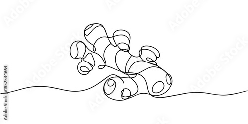 ginger root continuous one line drawing, Ginger vector illustration. One line drawing art illustration with lettering organic ginger, Single one line drawing ginger vegetable concept continuous line