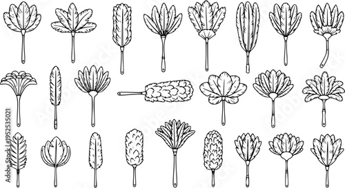 Black and White Line Art Collection of Feather Dusters, Various Styles