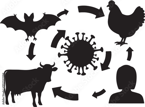 Zoonotic Virus Transmission Cycle Diagram with Animal and Human Silhouettes isolated PNG with Transparent Background