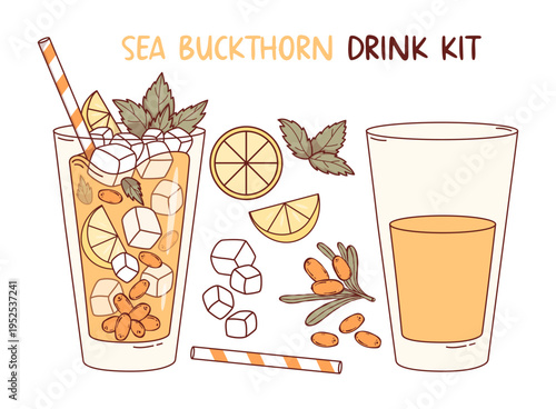 Sea Buckthorn Lemonade Set. Drink Ingredients with Glass, Orange Berries, Ice Cubes, Citrus Lemon, Cocktail Straw and Mint Leaves. Vector Illustration. Isolated Colored Beverage Menu Recipe Element .