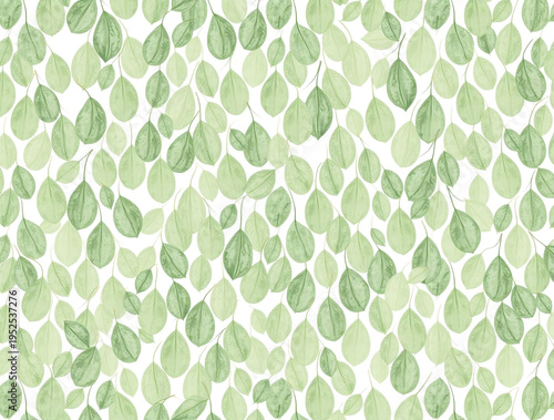 Watercolor pattern of small green eucalyptus leaves on a white background