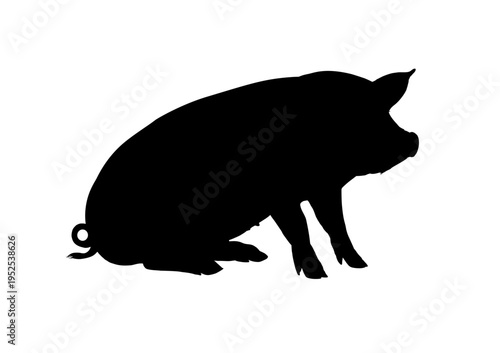 Sitting pig silhouette isolated