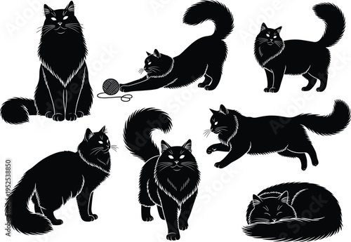 Long-haired cat silhouettes in playful and relaxed poses, cad drawing flat vector illustration, feline character design, animal behavior reference set