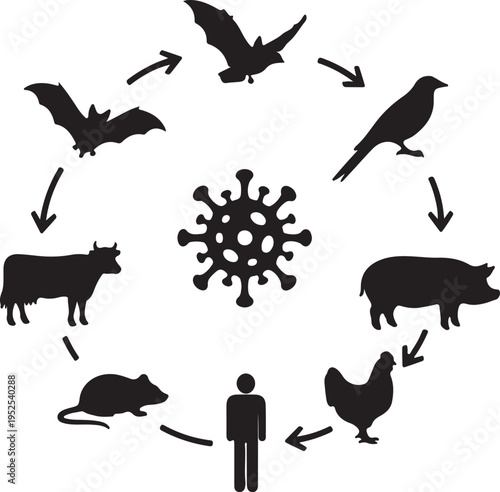 Zoonotic Disease Transmission Cycle Vector Illustration with Animal Silhouettes and Virus Icon isolated PNG with Transparent Background