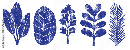 Indigo blue linocut herb leaf vector set. Vintage woodcut botanical collection with crosshatch texture. Hand drawn rosemary, mint and basil sprigs for kitchen decor, spice branding and organic design