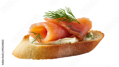 Photos Isolated gourmet smoked salmon crostini with cream cheese and fresh dill appetizer closeup