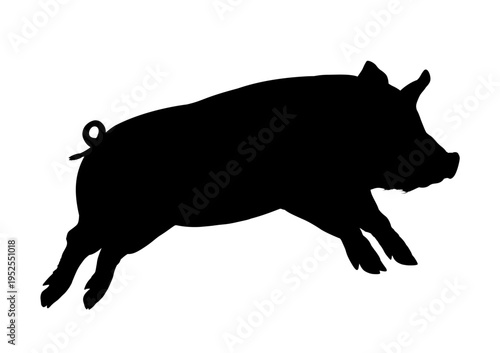 Jumping pig silhouette isolated - vector illustration