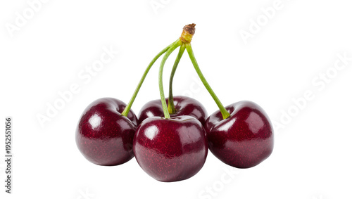 Isolated fresh ripe dark red cherries with green stems, a delicious sweet fruit snack