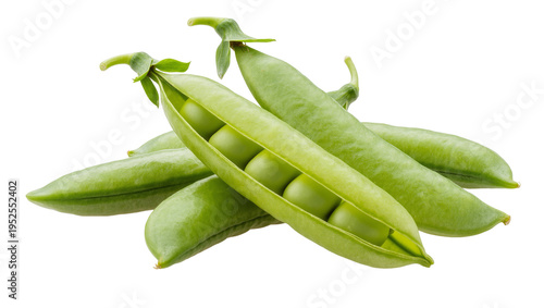 Isolated fresh green pea pods, one opened revealing vibrant healthy round organic peas