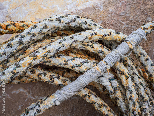 Konstfotografi Weathered rope coiled on a dock showing texture and wear