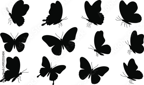 Butterfly silhouettes collection in various flying poses, black insect shapes isolated on white background, nature design elements for decoration, tattoo, logo and artistic projects