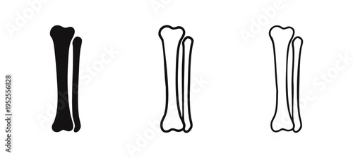 Tibia and Fibula bones icon set. Human lower leg anatomy illustration.
