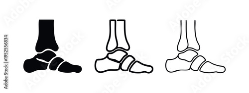 Human foot and ankle bones icon set. Skeletal anatomy illustration.
