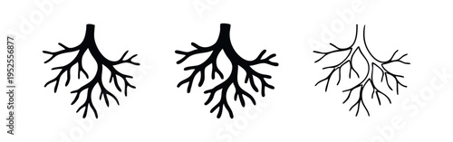 Branching Roots or Downward Vascular Network Icon Set. Organic or Medical Anatomy Vector Illustration in Flat, Bold Outline, and Thin Outline Styles.