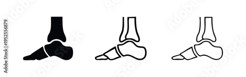 Skeletal foot anatomy icon set. Human foot bones illustration.