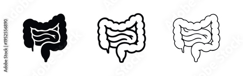 Human Intestines Organ Large and Small Icon Set Vector