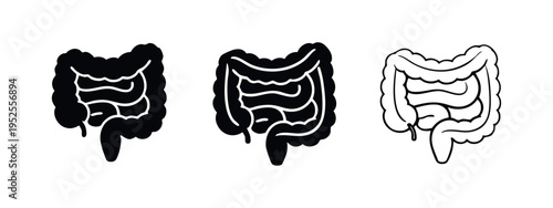 Digestive System Intestines Anatomy Icon Set Vector
