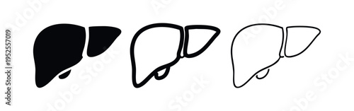 Human Liver Anatomy Icons Set. Internal Organ Symbol in Solid and Outline Styles.