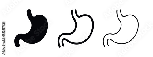 Human Stomach Anatomy Icons Set. Digestive System Organ in Solid and Outline Styles.