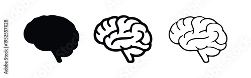 Human Brain Anatomy Icons Set. Central Nervous System Organ in Solid and Outline Styles.