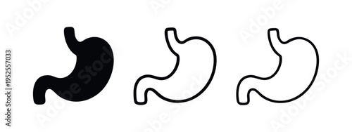 Human Stomach Anatomy Icons Set. Digestive System Organ in Solid and Outline Styles.