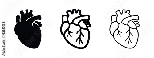 Human Heart Anatomy Icons Set. Circulatory System Organ in Solid and Outline Styles.