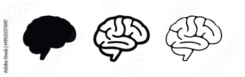 Human Brain Anatomy Icons Set. Central Nervous System Organ in Solid and Outline Styles.