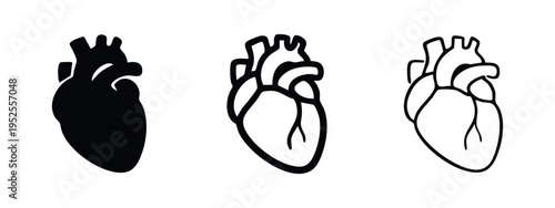 Human Heart Anatomy Icons Set. Circulatory System Organ in Solid and Outline Styles.