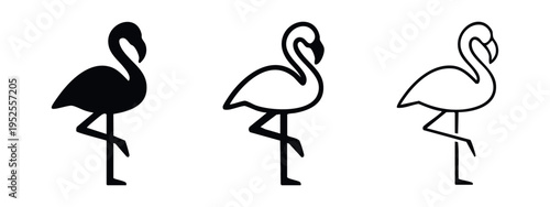 Flamingo bird icon set in solid, outline, and thin line styles, tropical animal illustration.