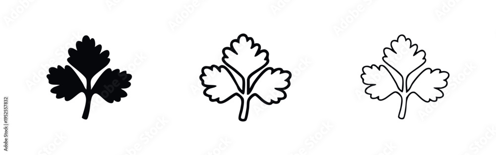 Fototapeta premium Cilantro or parsley herb leaf icon set. Cooking ingredient illustration in various styles.