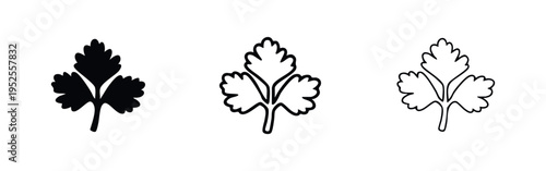 Cilantro or parsley herb leaf icon set. Cooking ingredient illustration in various styles.