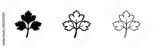 Detailed cilantro or parsley leaf icon set. Botanical herb illustration in various styles.
