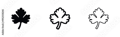Parsley Leaf Icon Set: Black and White Solid, Outline, and Thin Line Vector Symbols for Herbs, Garnish, and Cooking