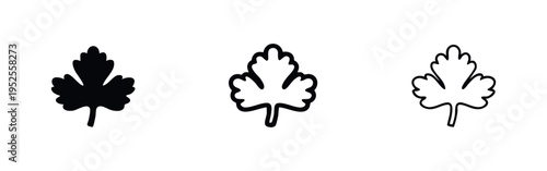 Parsley Herb Leaf Icon: Black and White Solid, Outline, and Thin Line Vector Symbols for Culinary Ingredients and Fresh Produce