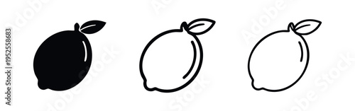 Lemon fruit icons set with leaf. Citrus fruit symbol. Fresh food vector illustration in solid, outline, and thin line style.